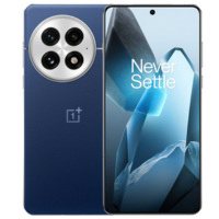 OnePlus 13